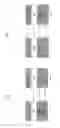 Fig. 07 - Method of transmitting and receiving radio access information in a wireless mobile communications system