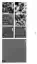 Fig. 08 - Patterned substrates for cell applications