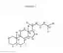 Fig. 02 - Synthetic bile acid compositions and methods