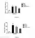 Fig. 03 - Methods for preventing oxidative stress injury of a tissue by a Folate-TEMPOL conjugate