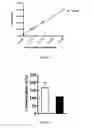 Fig. 05 - Methods for preventing oxidative stress injury of a tissue by a Folate-TEMPOL conjugate