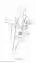 Fig. 03 - ENDOSCOPE
