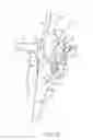 Fig. 08 - ENDOSCOPE