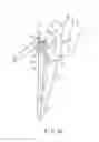 Fig. 16 - ENDOSCOPE