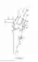 Fig. 17 - ENDOSCOPE