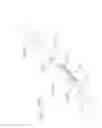 Fig. 49 - Devices and methods for forming a fistula