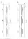 Fig. 06 - Audio Signal De-Identification
