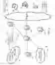 Fig. 02 - System and method for distributing multimedia content