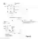 Fig. 09 - Efficient indexing of documents with similar content