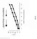 Fig. 07 - SYSTEMS AND METHODS FOR QUERYING COLUMN ORIENTED DATABASES