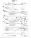 Fig. 08 - Information processing apparatus and method of controlling launch thereof