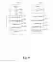 Fig. 10 - SYSTEM AND METHOD FOR DISCOVERING AND PUBLISHING OF PRESENCE INFORMATION ON A NETWORK