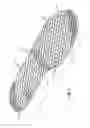 Fig. 03 - Magnetic Shoe Insert System