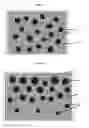 Fig. 02 - Advanced photoluminescent components and formulation/fabrication methods for production thereof