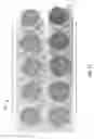 Fig. 12 - Systems and methods for producing engineered fuel feed stocks from waste material