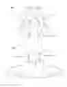 Fig. 14 - Handmade structure system