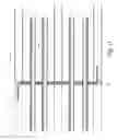 Fig. 09 - Bond beam rebar positioner
