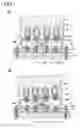 Fig. 04 - FASTENING DEVICE