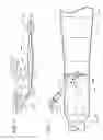 Fig. 02 - Exhaust system mixing device