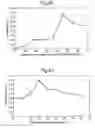 Fig. 09 - Electromagnetic enhancement and decoupling