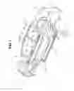 Fig. 02 - Structure for side section of vehicle body