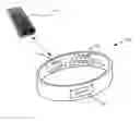 Fig. 01 - Bands for measuring biometric information