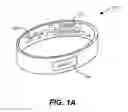 Fig. 02 - Bands for measuring biometric information