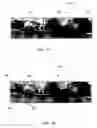 Fig. 02 - Methods and apparatus for generating a continuum of image data