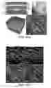Fig. 08 - Method and apparatus for ultrahigh sensitive optical microangiography