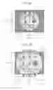 Fig. 07 - Fundus imaging apparatus and method therefor