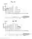 Fig. 06 - Method and system for synchronously driving light-dispersing elements, and detector for chromatograph