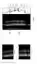 Fig. 06 - System, method and apparatus for phase contrast enhanced multiplexing of images