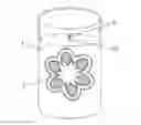 Fig. 01 - Electronic candle