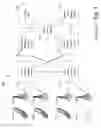 Fig. 02 - Autonomous self-disrupting network element