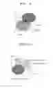 Fig. 07 - METHOD OF BIOMETRIC AUTHENTICATION BY USING PUPIL BORDER AND APPARATUS USING THE METHOD