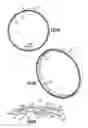 Fig. 06 - Seal assembly for gas turbine engine