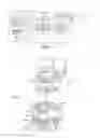 Fig. 02 - Dispenser with filter device