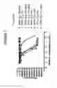 Fig. 02 - Humanized antibodies against TL1A