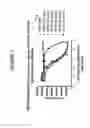 Fig. 08 - Humanized antibodies against TL1A