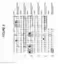 Fig. 09 - Humanized antibodies against TL1A