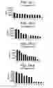 Fig. 07 - Human antibodies that bind human interleukin-12