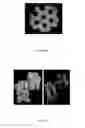Fig. 07 - Crystal of recombinant interferon with altered spatial configuration, three-dimensional structure and uses thereof