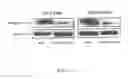 Fig. 02 - Compositions and methods for treatment of cancer using tissue-specific oncolytic adenoviruses