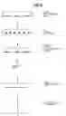 Fig. 03 - Neural progenitor cell populations