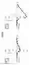 Fig. 10 - Neural progenitor cell populations