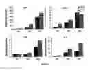Fig. 07 - Use of collagen type VII for maintaining and re-inducing osteogenic abilities of mesenchymal stem cells