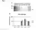Fig. 04 - Substances and Methods for the Treatment of Lysosmal Storage Diseases