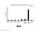 Fig. 28 - Polymers for reversing heparin-based anticoagulation