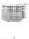 Fig. 07 - Process for production and purification of recombinant lysosomal alpha-mannosidase