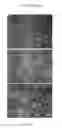 Fig. 03 - Method of Using Fish Plasma Components to Promote Functional Recovery in the Mammialian CNS